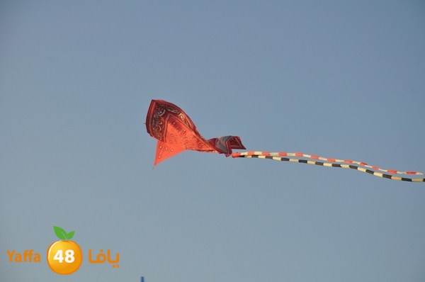 tayarat waraq (26).JPG